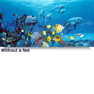 Without a Net